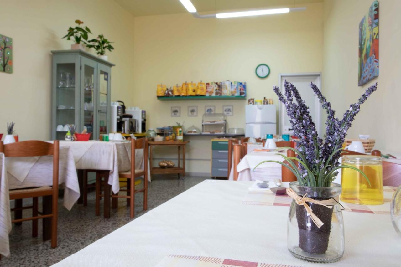 Al Frantoio Maddii Levane Bed And Breakfast Exterior photo